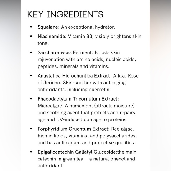 Never Opened Ellis Brooklyn Satisfying Skin Care Moisturizer - Picture 6 of 7